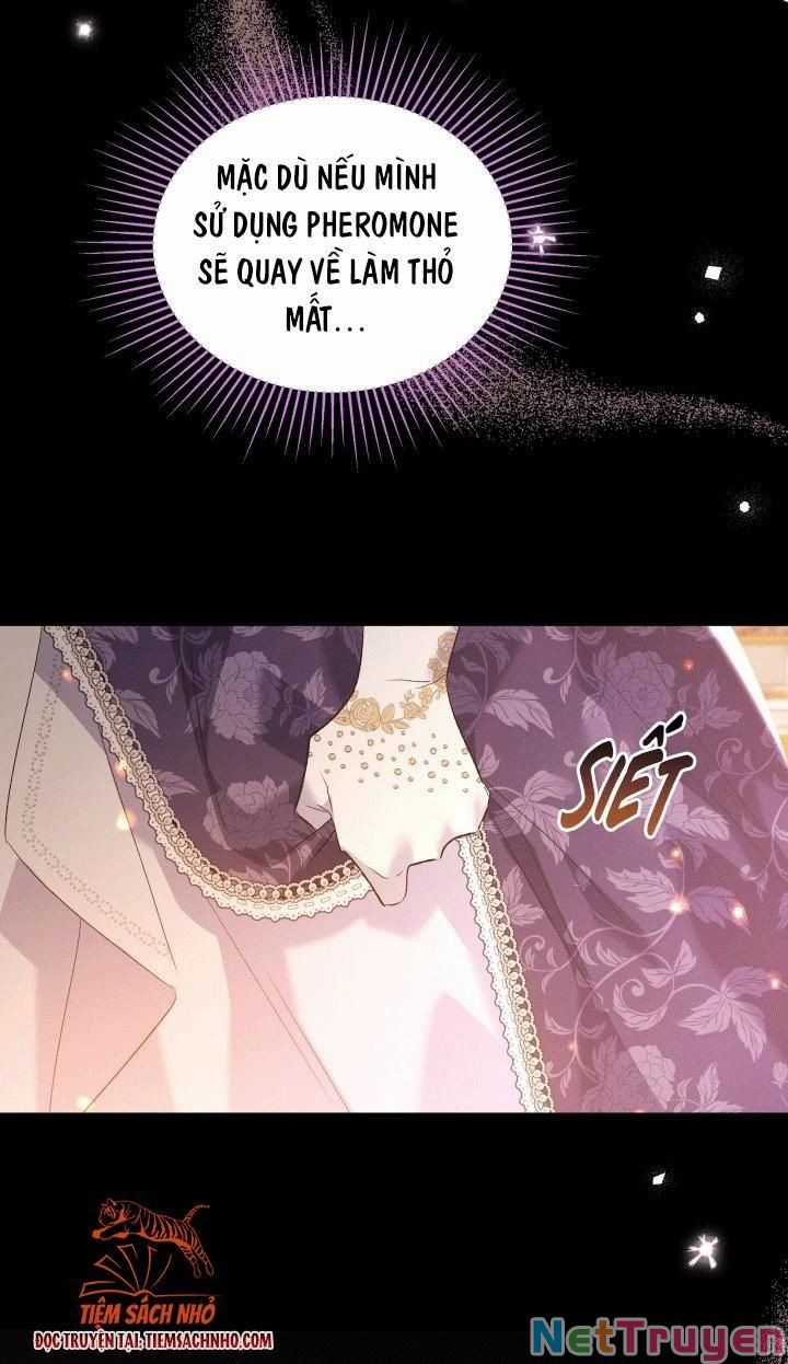 Quan Hệ Cộng Sinh Giữa Hắc Báo Và Bạch Thỏ Chapter 68 trang 35