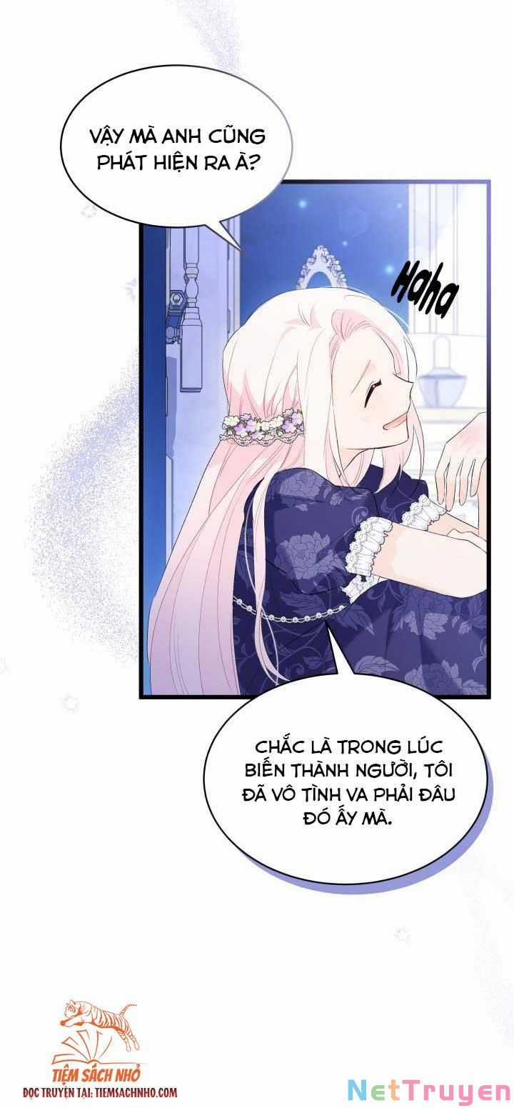 Quan Hệ Cộng Sinh Giữa Hắc Báo Và Bạch Thỏ Chapter 69 trang 12