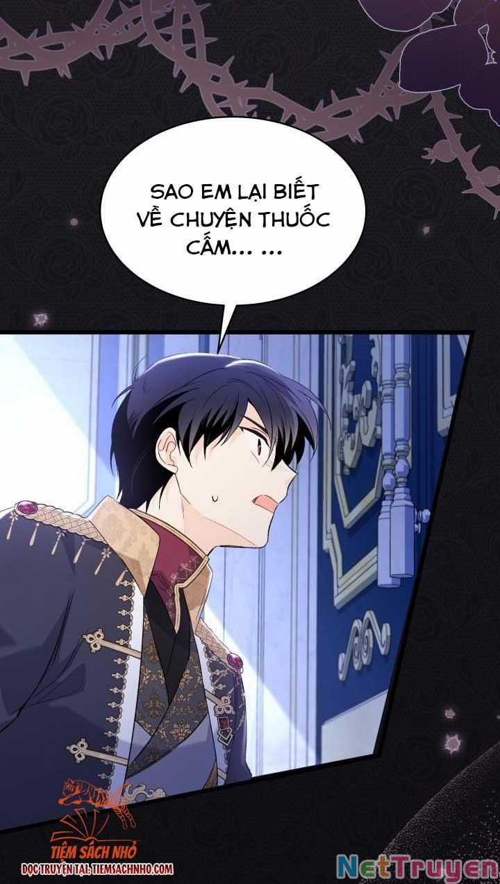 Quan Hệ Cộng Sinh Giữa Hắc Báo Và Bạch Thỏ Chapter 69 trang 22