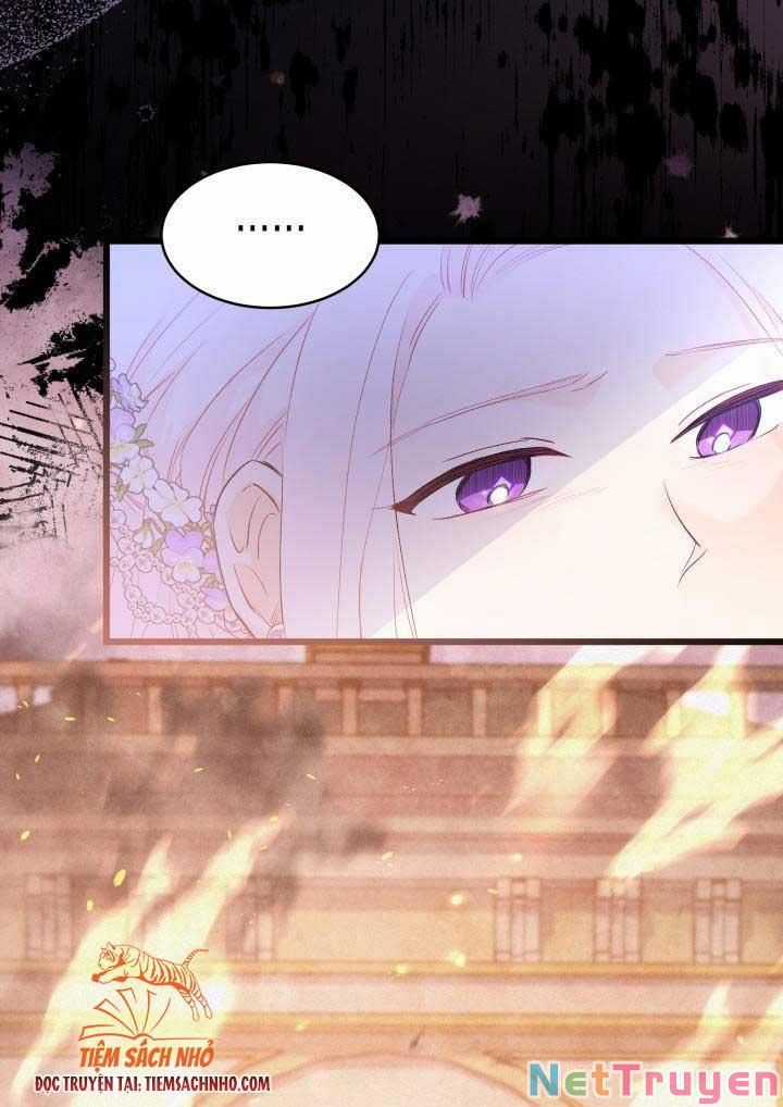 Quan Hệ Cộng Sinh Giữa Hắc Báo Và Bạch Thỏ Chapter 69 trang 26