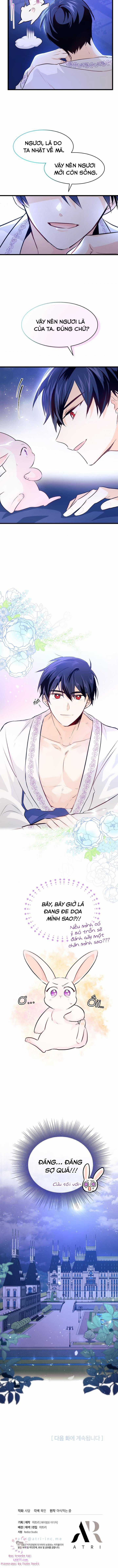Quan Hệ Cộng Sinh Giữa Hắc Báo Và Bạch Thỏ Chapter 7 trang 10