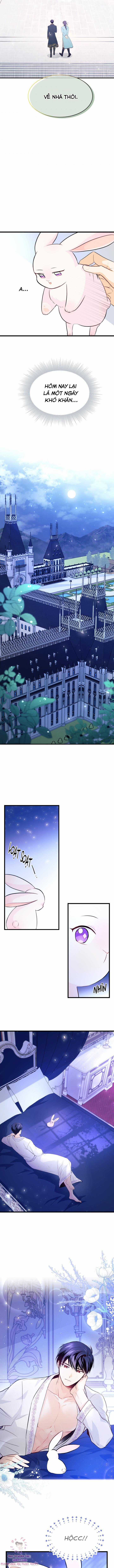 Quan Hệ Cộng Sinh Giữa Hắc Báo Và Bạch Thỏ Chapter 7 trang 11