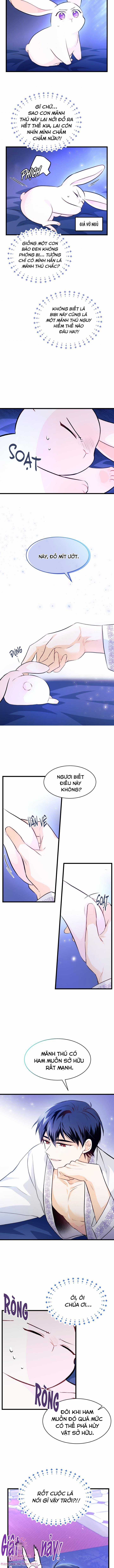Quan Hệ Cộng Sinh Giữa Hắc Báo Và Bạch Thỏ Chapter 7 trang 12
