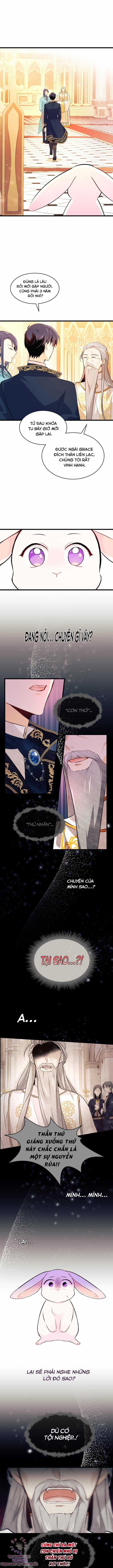 Quan Hệ Cộng Sinh Giữa Hắc Báo Và Bạch Thỏ Chapter 7 trang 3
