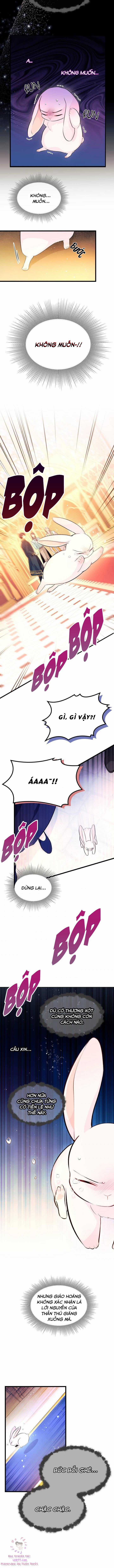 Quan Hệ Cộng Sinh Giữa Hắc Báo Và Bạch Thỏ Chapter 7 trang 4