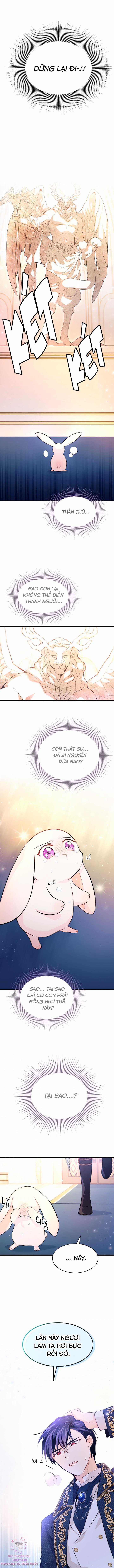 Quan Hệ Cộng Sinh Giữa Hắc Báo Và Bạch Thỏ Chapter 7 trang 5