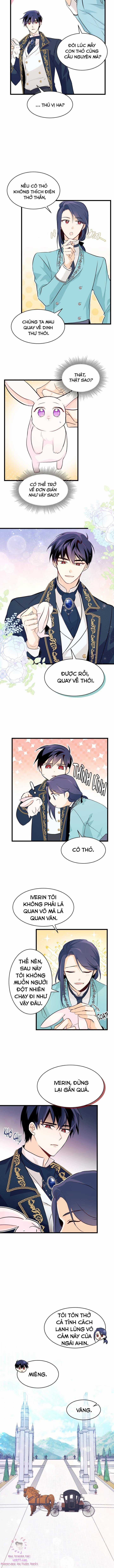 Quan Hệ Cộng Sinh Giữa Hắc Báo Và Bạch Thỏ Chapter 7 trang 7