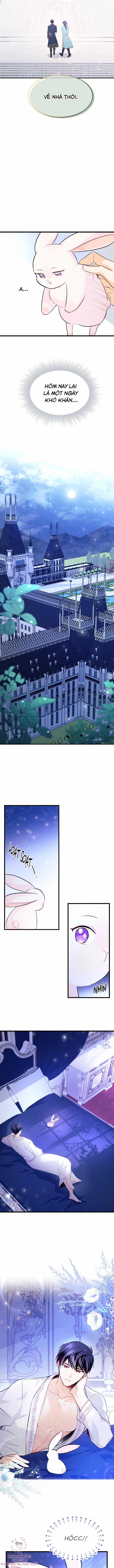 Quan Hệ Cộng Sinh Giữa Hắc Báo Và Bạch Thỏ Chapter 7 trang 8