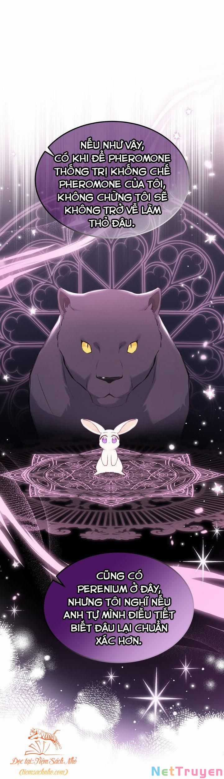 Quan Hệ Cộng Sinh Giữa Hắc Báo Và Bạch Thỏ Chapter 71 trang 37