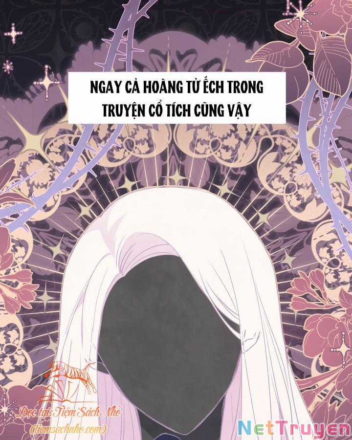 Quan Hệ Cộng Sinh Giữa Hắc Báo Và Bạch Thỏ Chapter 72 trang 18