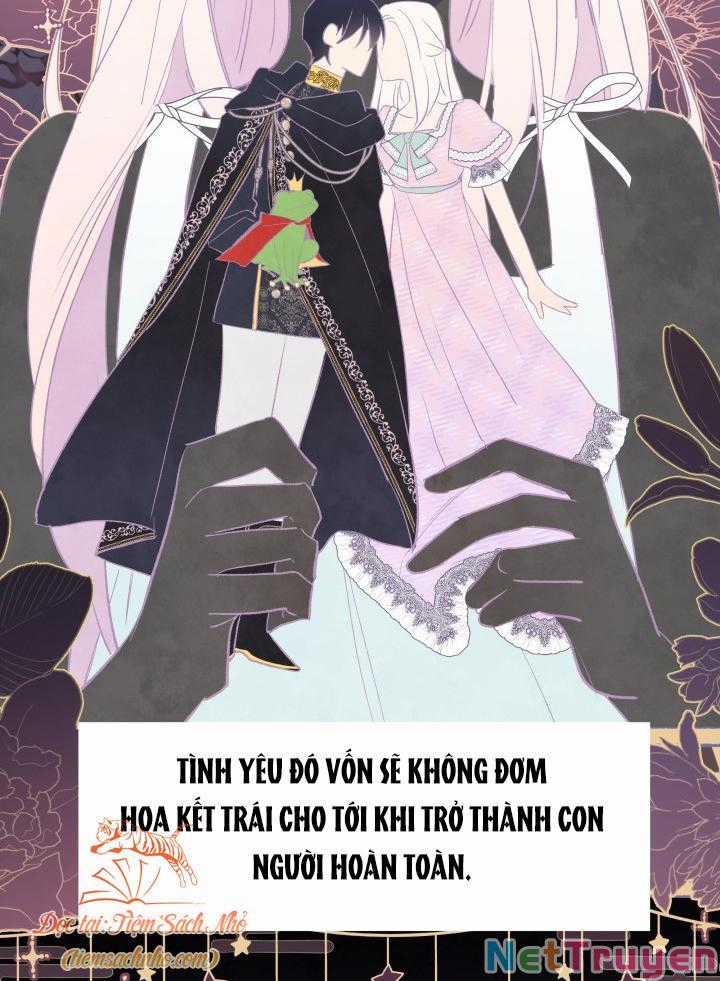 Quan Hệ Cộng Sinh Giữa Hắc Báo Và Bạch Thỏ Chapter 72 trang 19