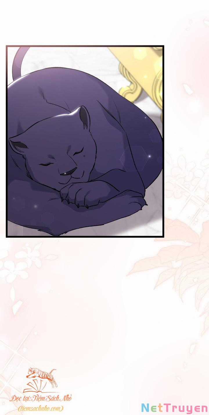 Quan Hệ Cộng Sinh Giữa Hắc Báo Và Bạch Thỏ Chapter 72 trang 58