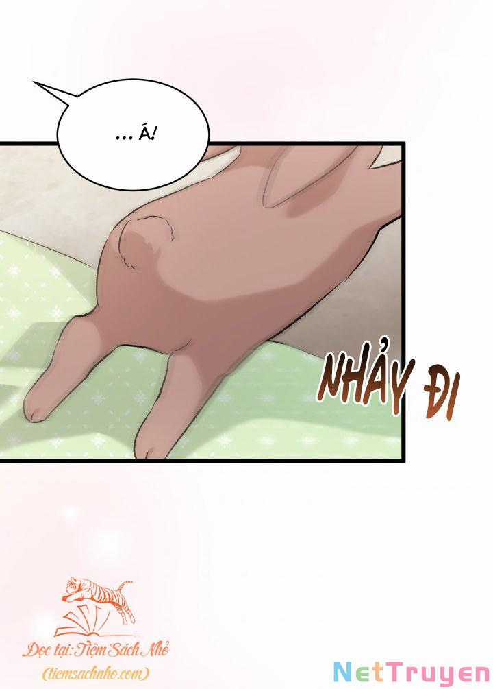 Quan Hệ Cộng Sinh Giữa Hắc Báo Và Bạch Thỏ Chapter 76 trang 20