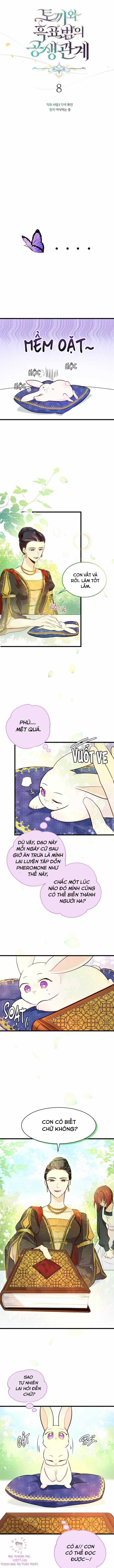 Quan Hệ Cộng Sinh Giữa Hắc Báo Và Bạch Thỏ Chapter 8 trang 4