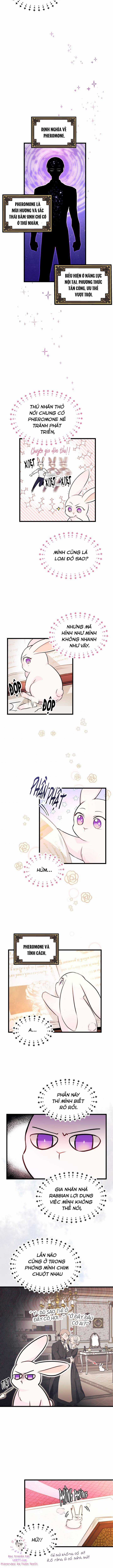 Quan Hệ Cộng Sinh Giữa Hắc Báo Và Bạch Thỏ Chapter 8 trang 6