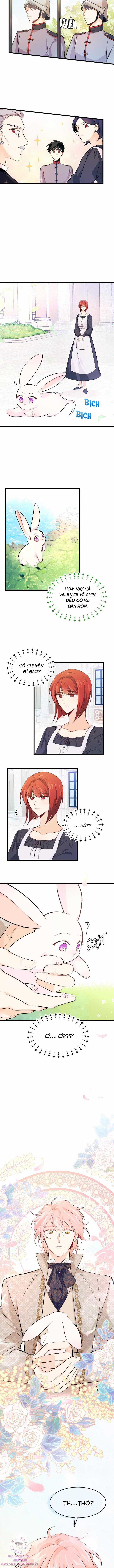 Quan Hệ Cộng Sinh Giữa Hắc Báo Và Bạch Thỏ Chapter 8 trang 9