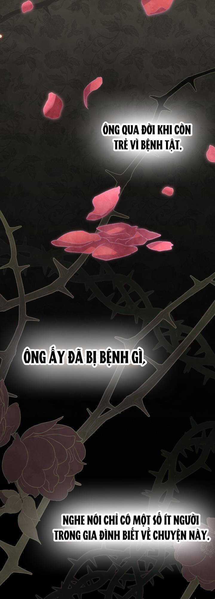 Quan Hệ Cộng Sinh Giữa Hắc Báo Và Bạch Thỏ Chapter 85 trang 2