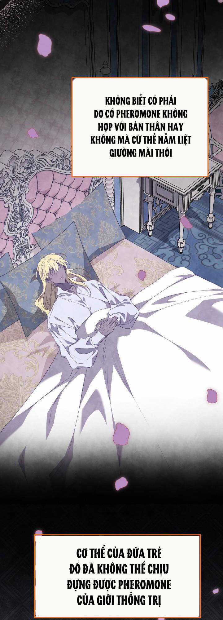 Quan Hệ Cộng Sinh Giữa Hắc Báo Và Bạch Thỏ Chapter 86 trang 24