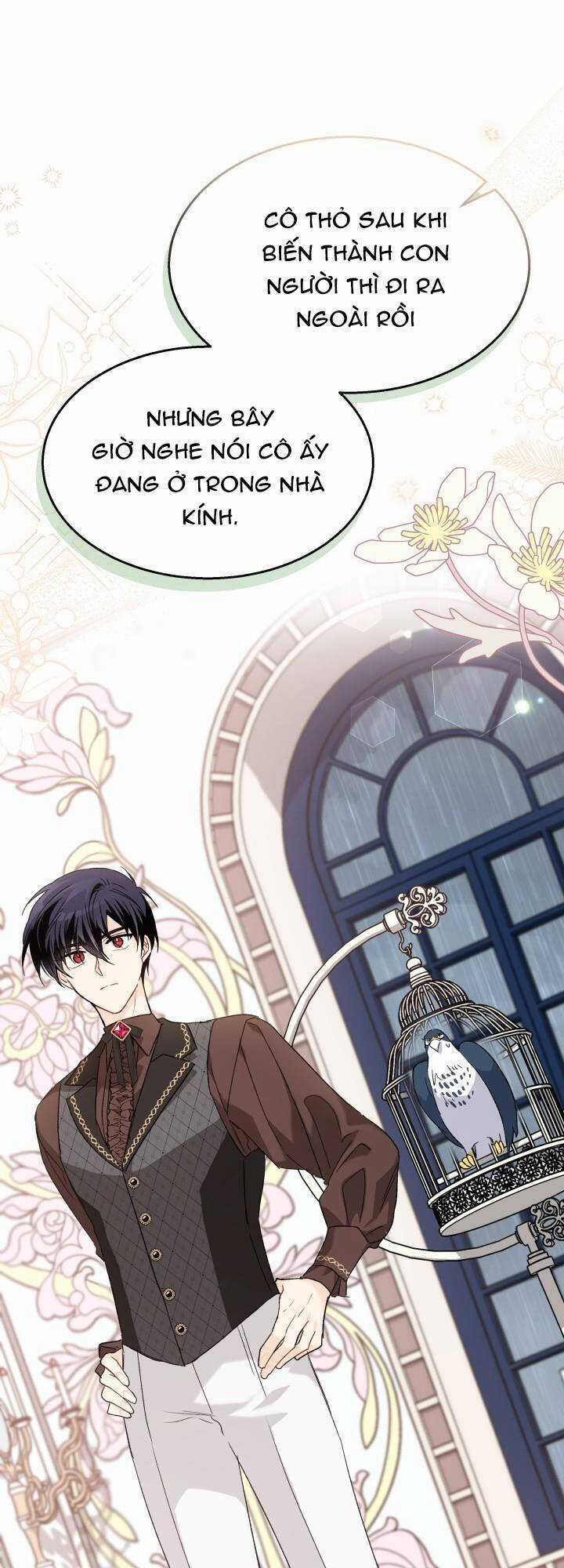 Quan Hệ Cộng Sinh Giữa Hắc Báo Và Bạch Thỏ Chapter 86 trang 37