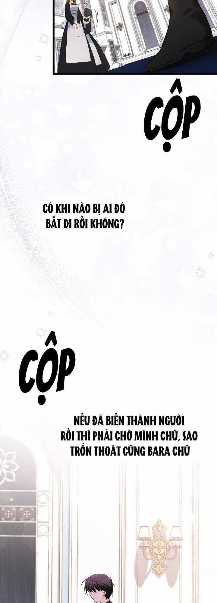 Quan Hệ Cộng Sinh Giữa Hắc Báo Và Bạch Thỏ Chapter 86 trang 43