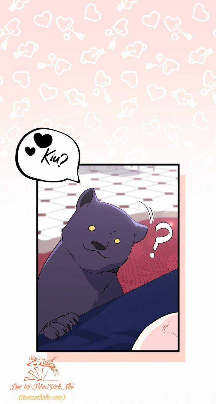 Quan Hệ Cộng Sinh Giữa Hắc Báo Và Bạch Thỏ Chapter 90 trang 5
