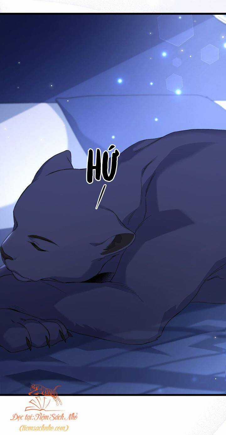 Quan Hệ Cộng Sinh Giữa Hắc Báo Và Bạch Thỏ Chapter 92 trang 10