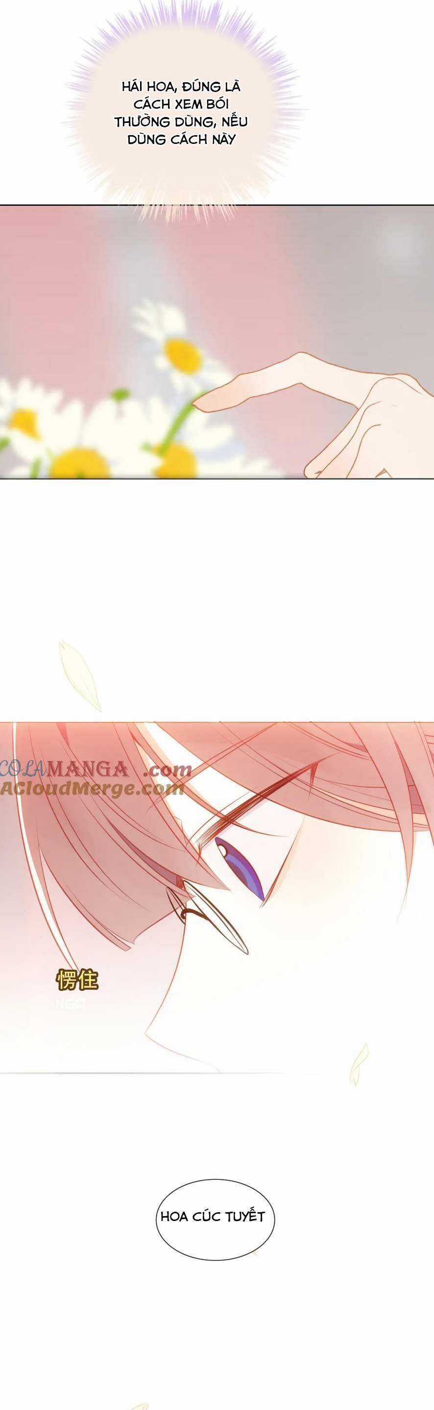 Quán Kịch Bản Trần Mộng Chapter 77 trang 15