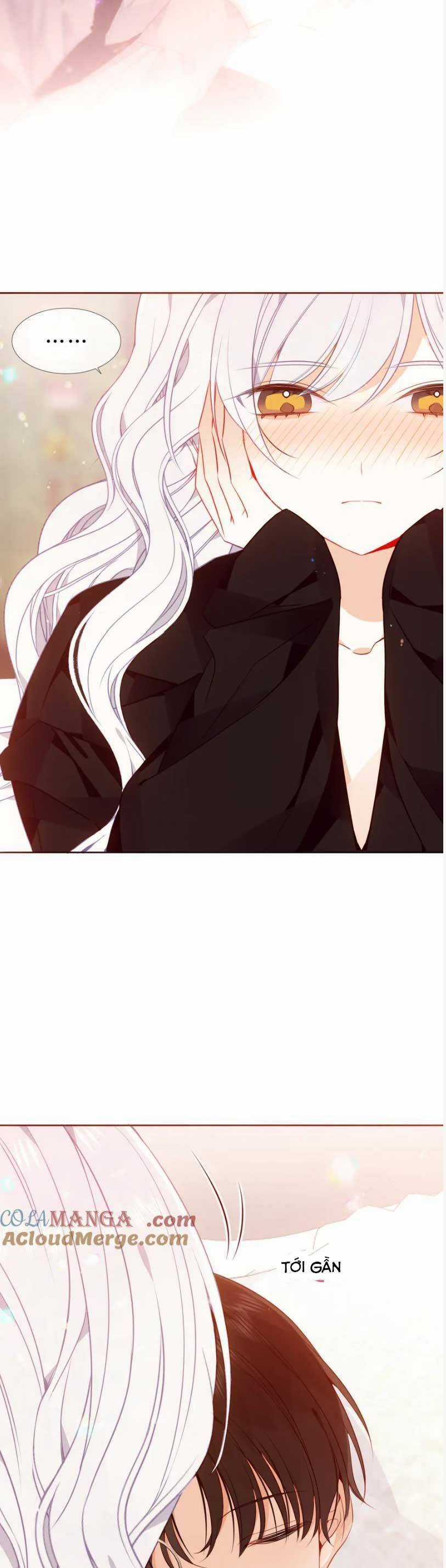 Quán Kịch Bản Trần Mộng Chapter 81 trang 12