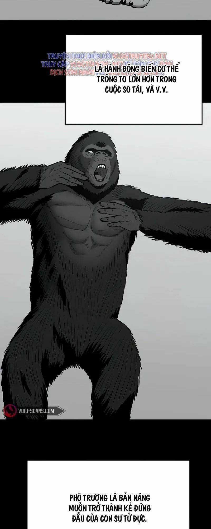 Quản Lí Du Côn Chapter 49 trang 10