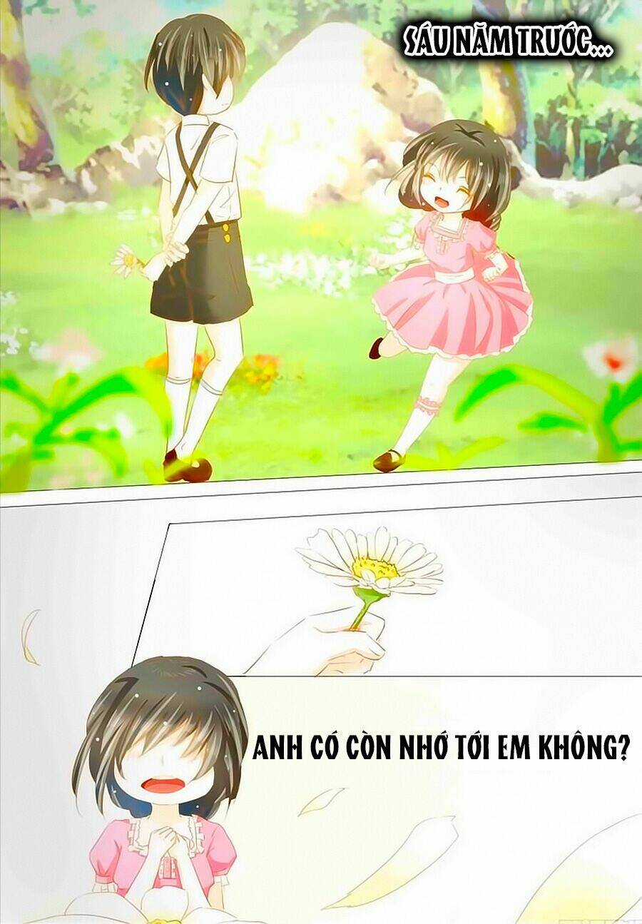 Quân Phiệt Bá Sủng: Thuần Tình Yêu Nữ Hỏa Lạt Lạt Chapter 1 trang 8