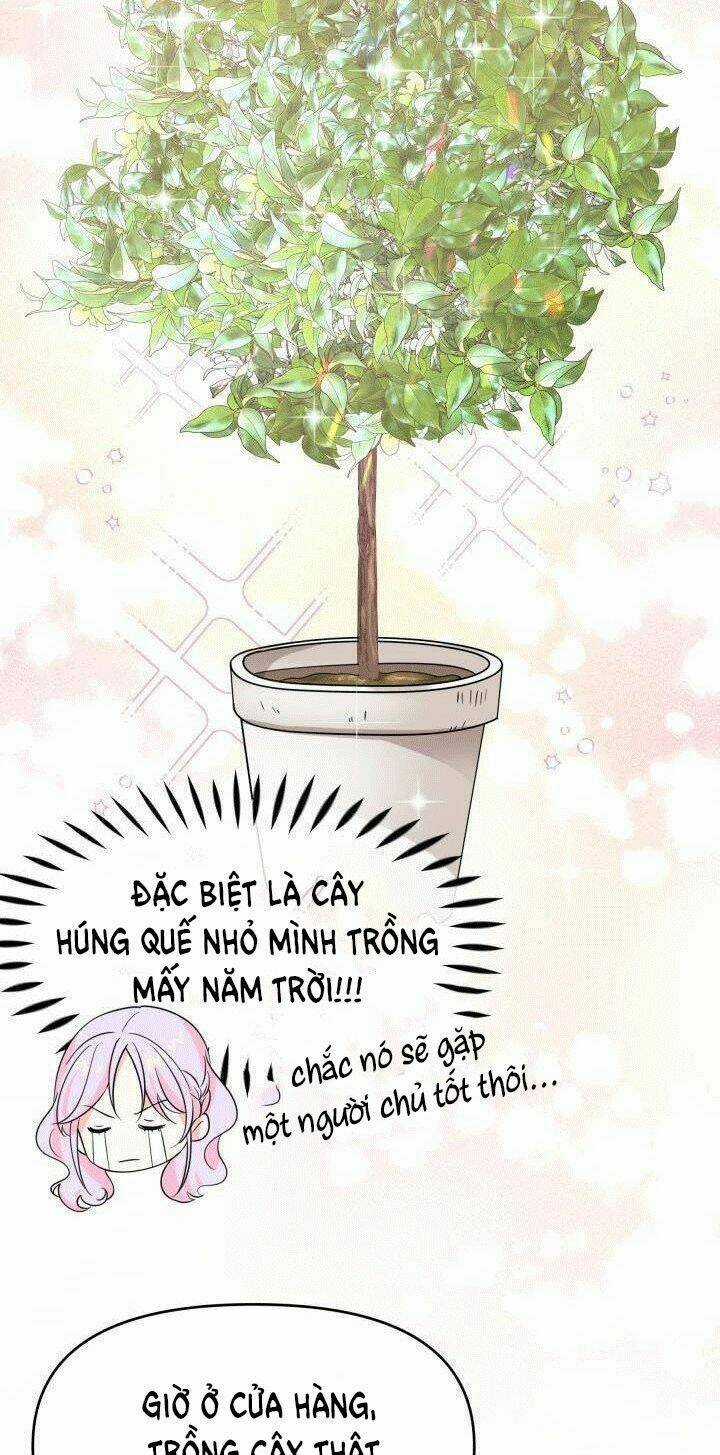 Quay Về Quá Khứ Mở Tiệm Bánh Kẹo Chapter 14.1 trang 19