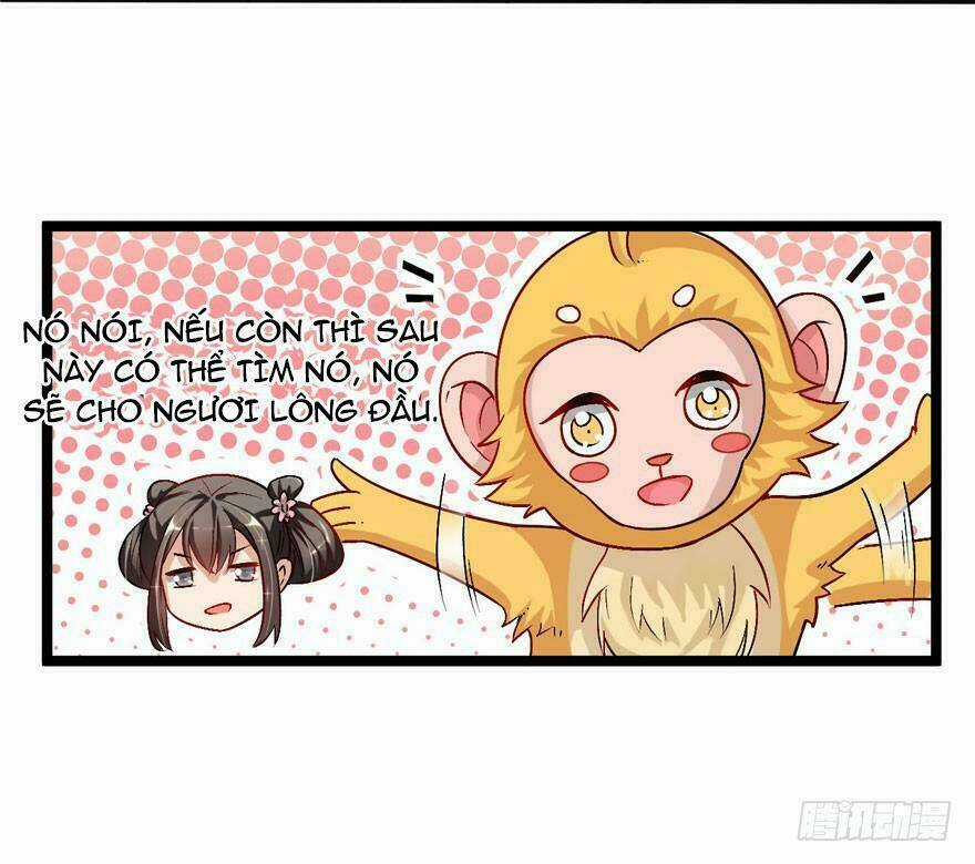 Quẻ Phi Thiên Hạ Chapter 16 trang 12