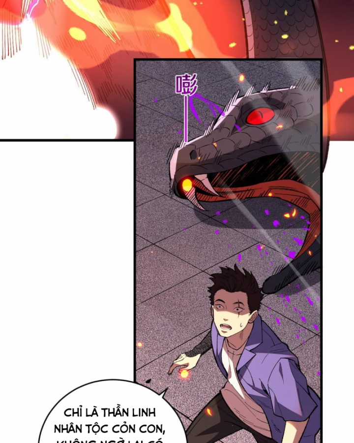 Quốc Vận Chi Chiến: Ta Lấy Bàn Cổ Trấn Chư Thiên Chapter 4 trang 52