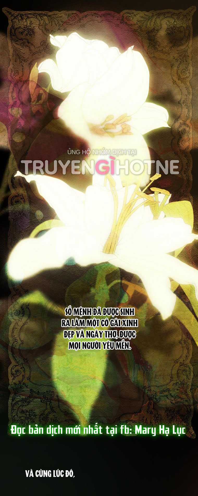 Quý Cô Bí Ẩn - Secret Lady Chapter 1.1 trang 17