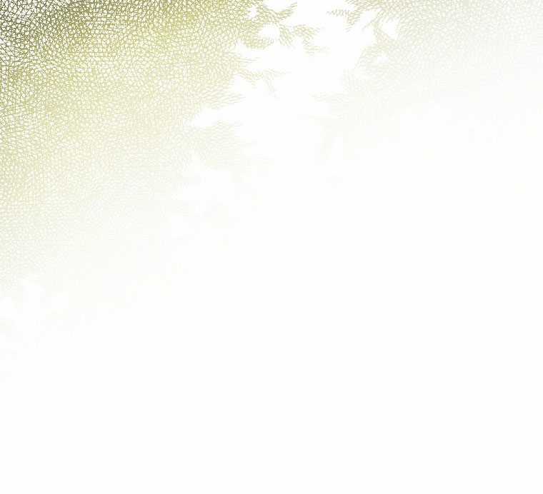 Quý Cô Bí Ẩn - Secret Lady Chapter 1.2 trang 8