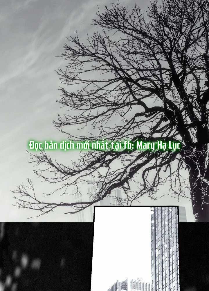 Quý Cô Bí Ẩn - Secret Lady Chapter 1 trang 10