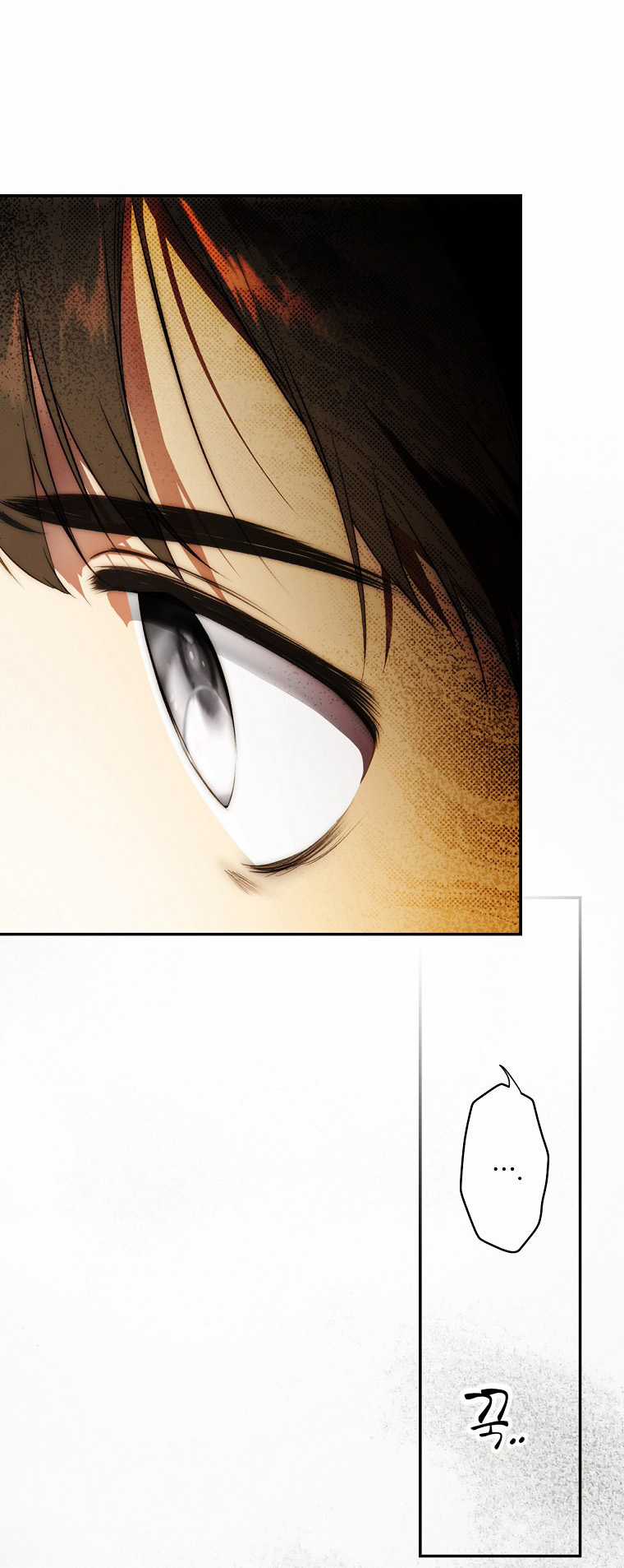 Quý Cô Bí Ẩn - Secret Lady Chapter 2.1 trang 26