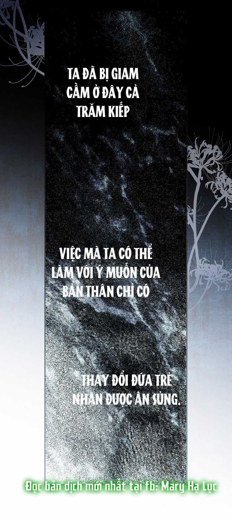 Quý Cô Bí Ẩn - Secret Lady Chapter 68.1 trang 19