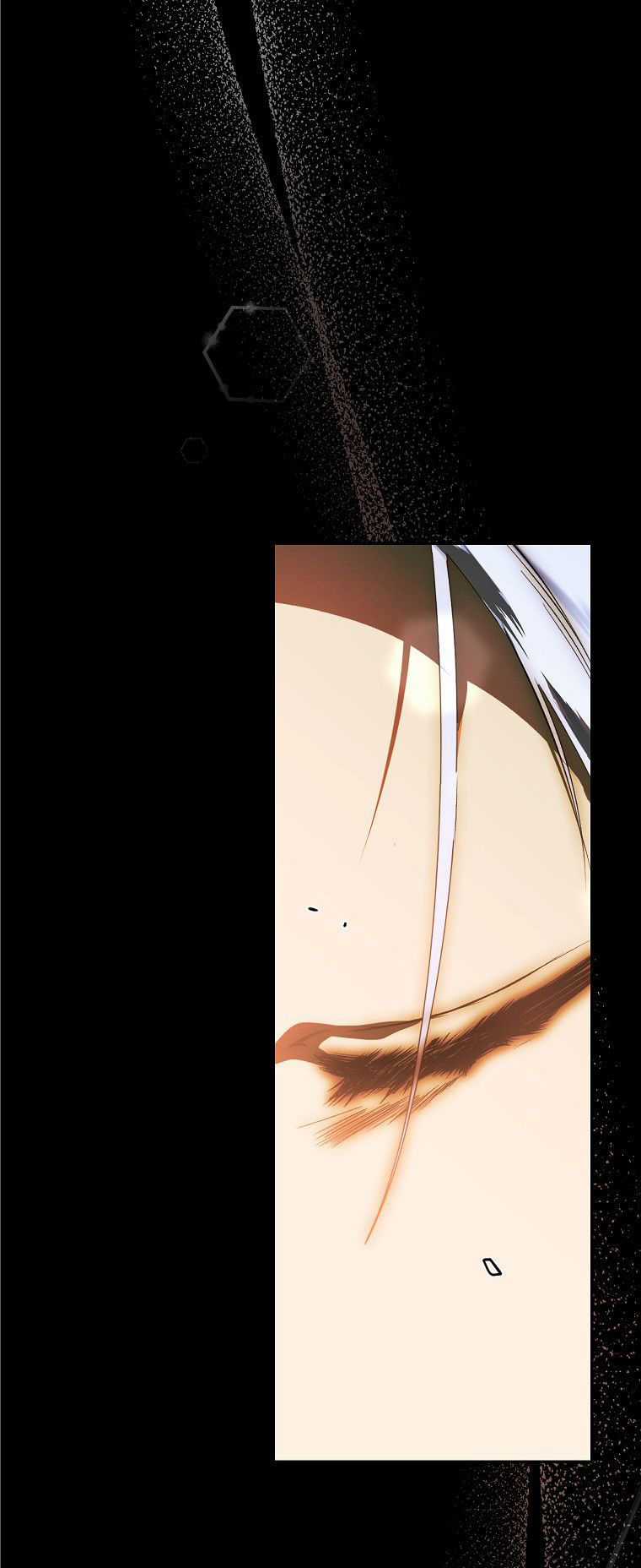 Quý Cô Bí Ẩn - Secret Lady Chapter 72.2 trang 38