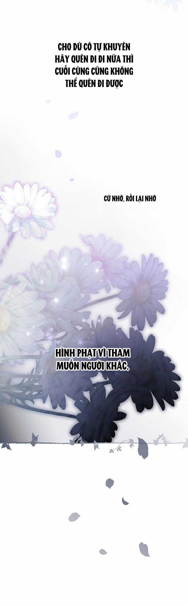 Quý Cô Bí Ẩn - Secret Lady Chapter 73.2 trang 54