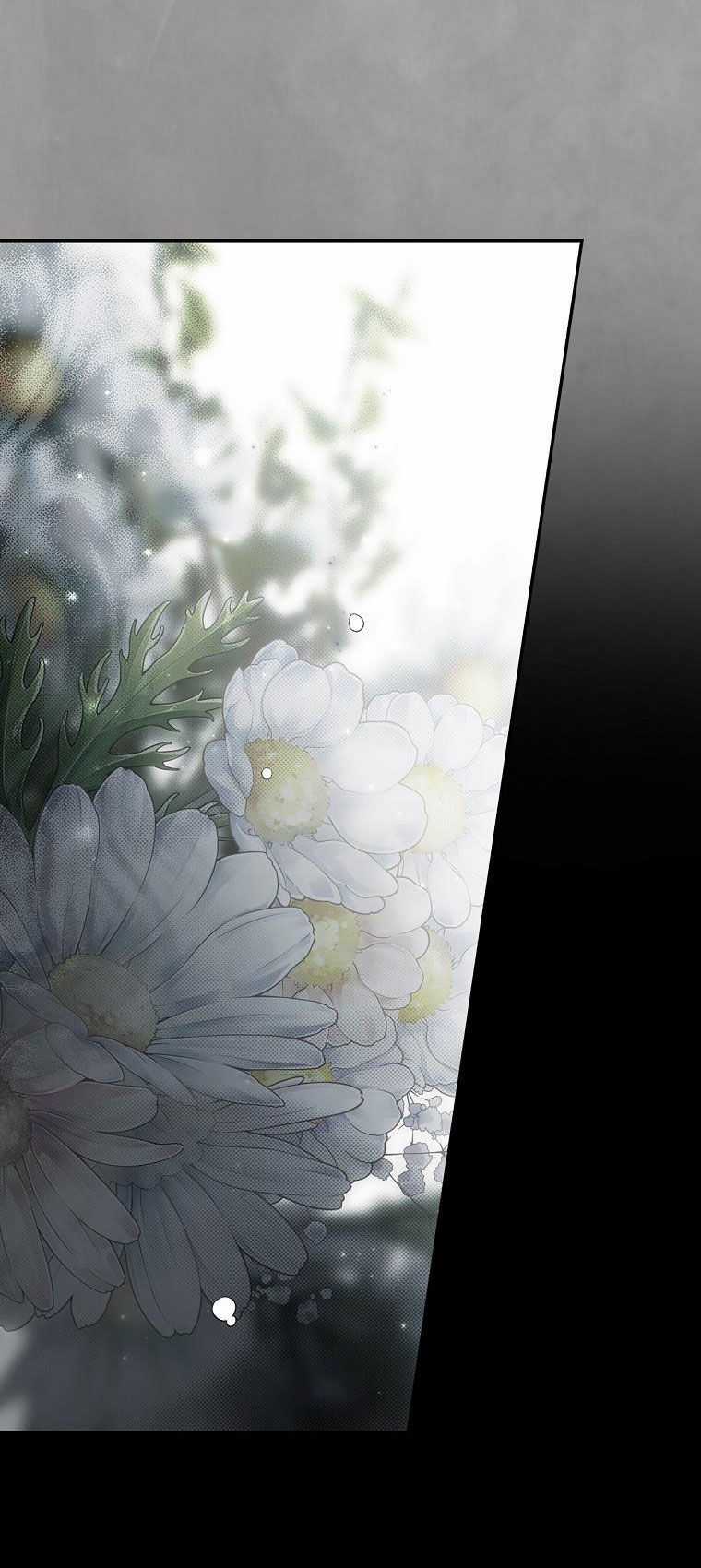 Quý Cô Bí Ẩn - Secret Lady Chapter 74.1 trang 5