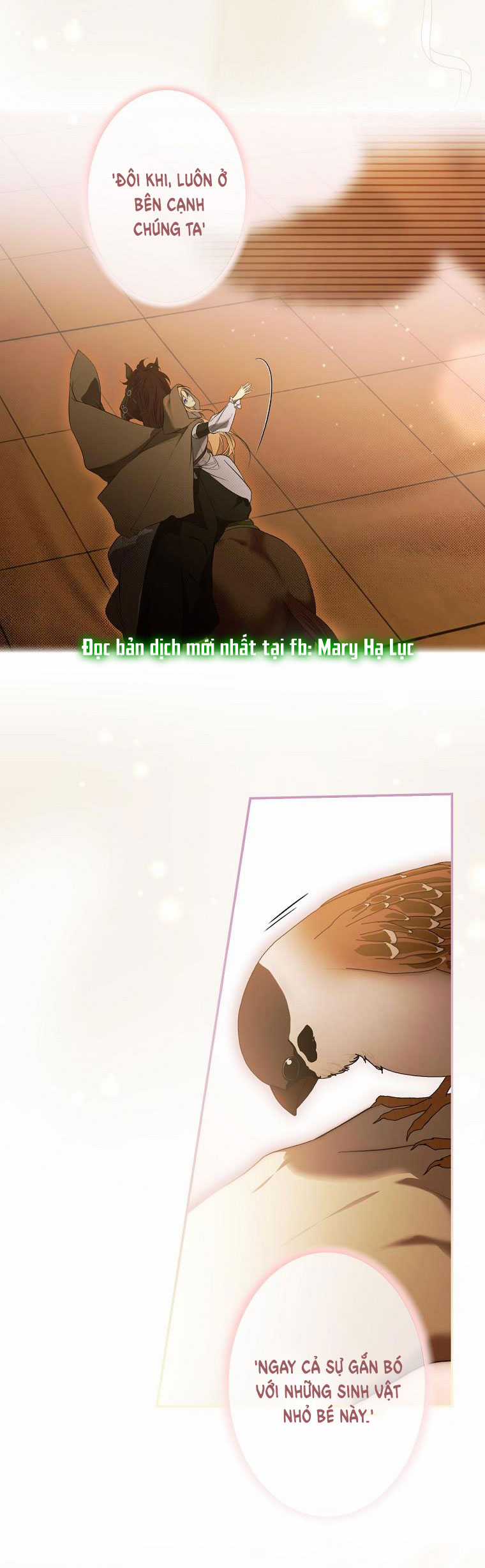 Quý Cô Bí Ẩn - Secret Lady Chapter 77.2 trang 11