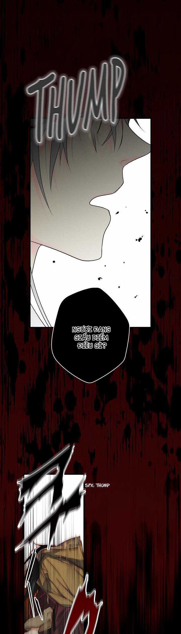 Quý Cô Bí Ẩn - Secret Lady Chapter 8 trang 25