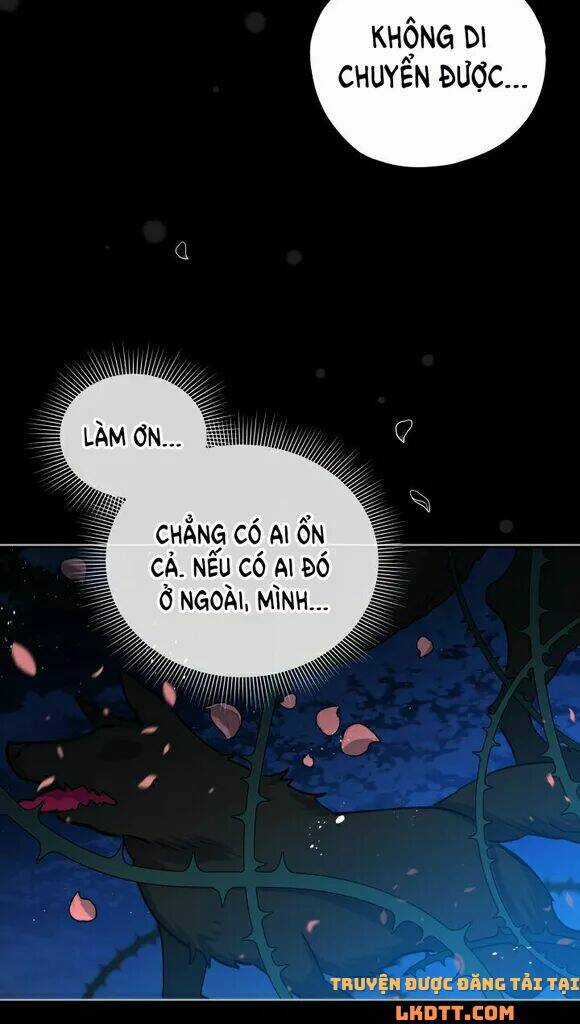 Quý Cô Khó Gần Chapter 19 trang 48
