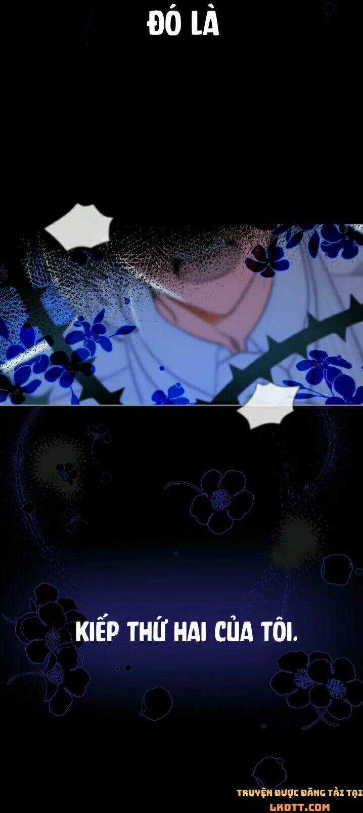 Quý Cô Khó Gần Chapter 19 trang 57