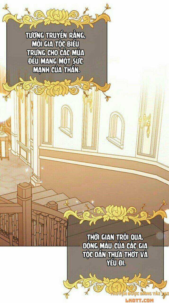 Quý Cô Khó Gần Chapter 2 trang 35