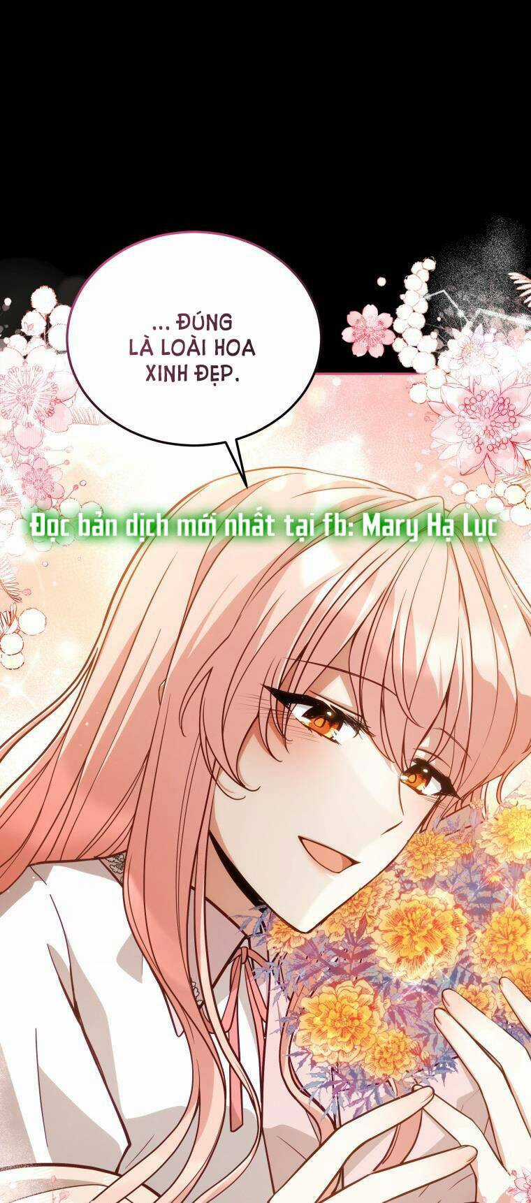 Quý Cô Khó Gần Chapter 66 trang 38