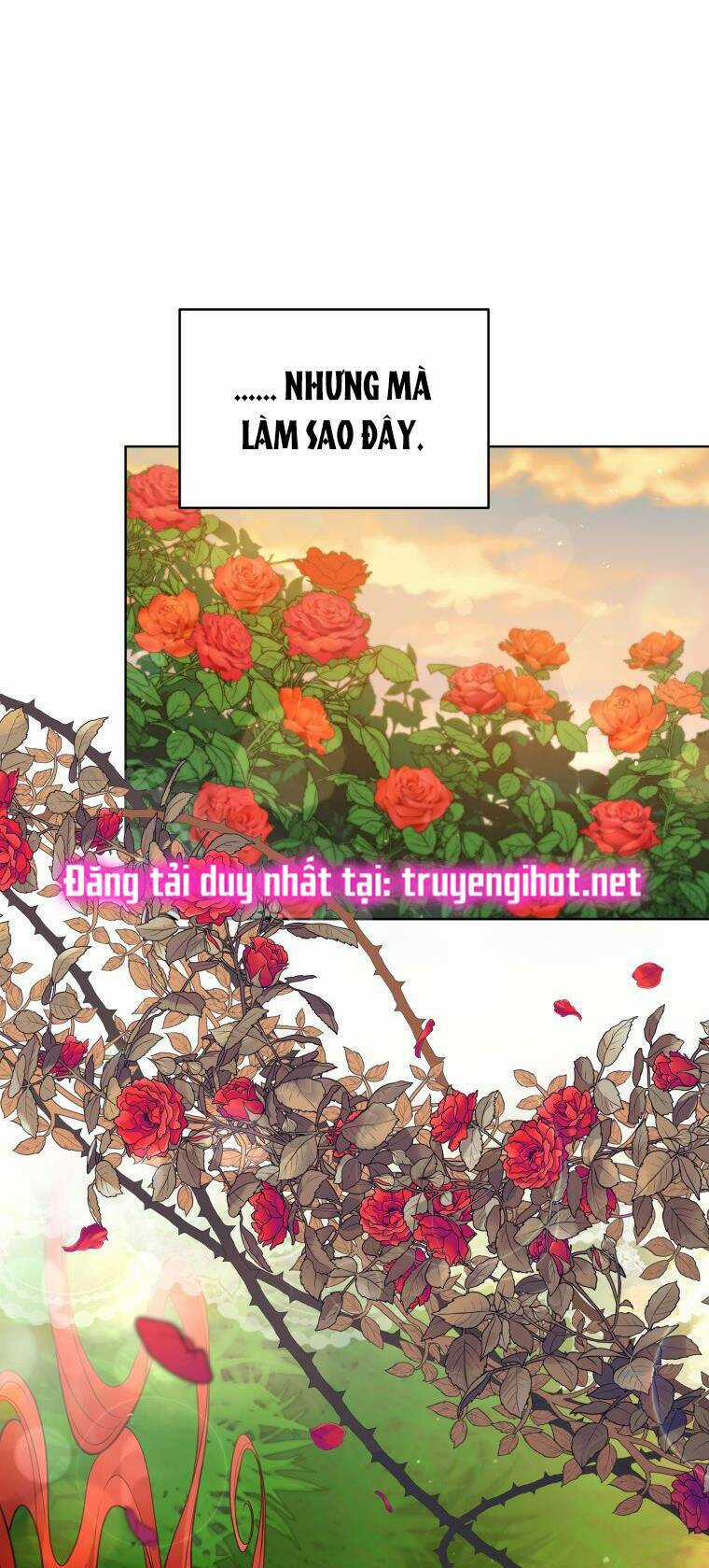 Quý Cô Khó Gần Chapter 66 trang 65