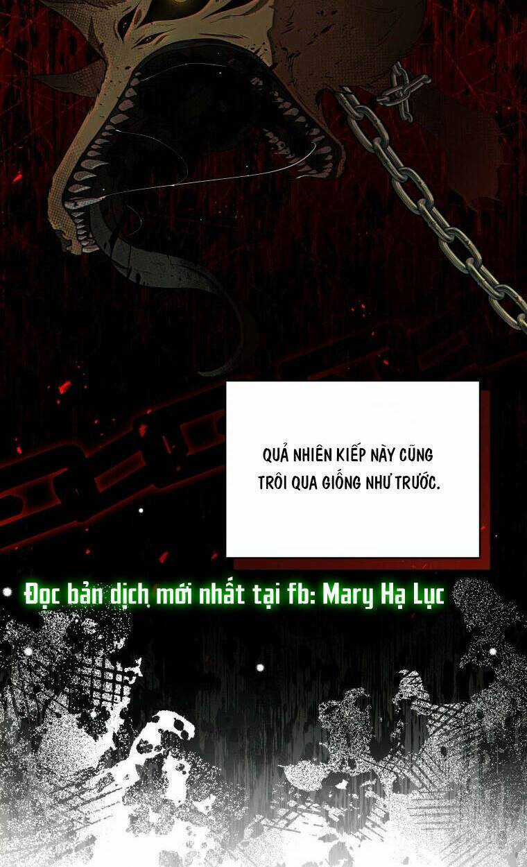 Quý Cô Khó Gần Chapter 70 trang 25