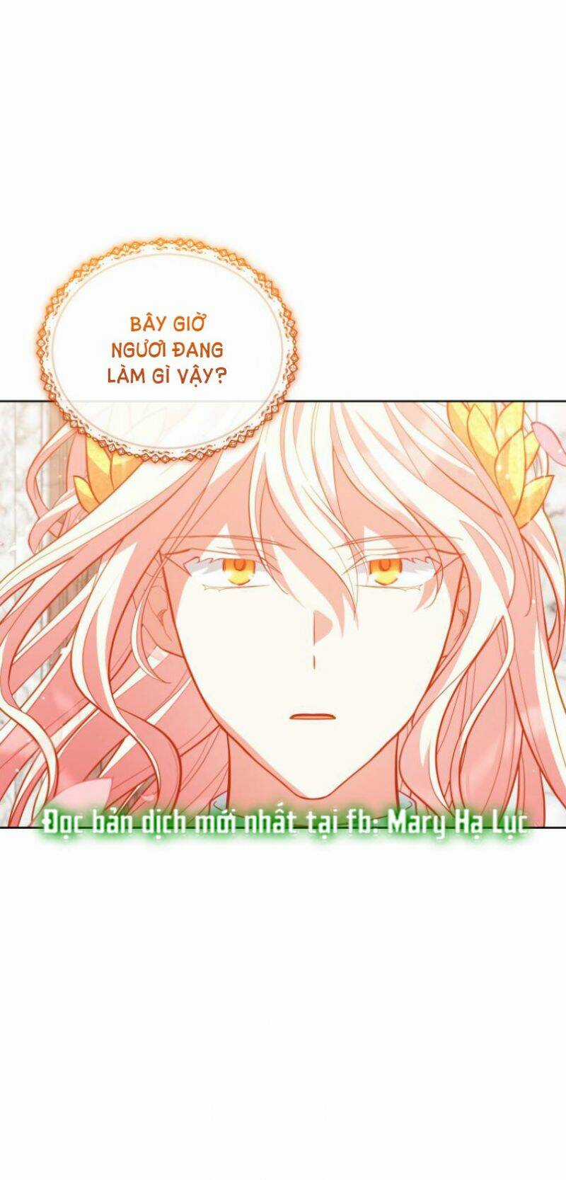 Quý Cô Khó Gần Chapter 84 trang 35